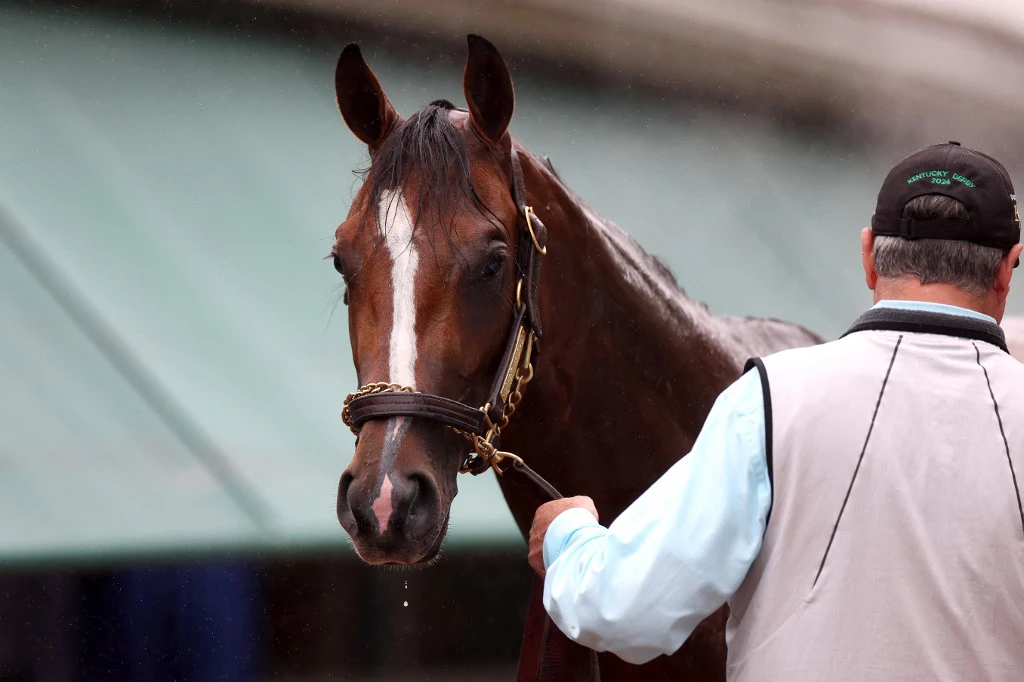 Preakness Stakes 2024 predictions, picks, horses, time, odds: Best bets from expert who hit last year's winner - Horse profiles and past performances