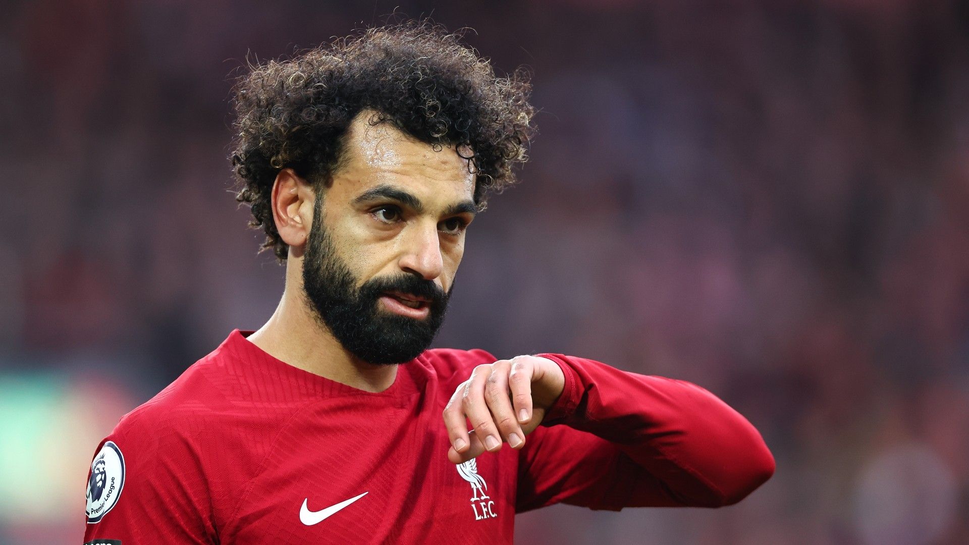 Liverpool legend names the one player whose departure would be a 'bigger blow' than Salah - Player Profile
